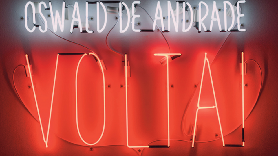 Image from the group show Nuestra América, at Galeria Luisa Strina, on which I wrote one of the essays for Artforum - the neon image reads, "Oswaldo de Andrade, Volta!" / "Oswaldo de Andrade, Come Back!"