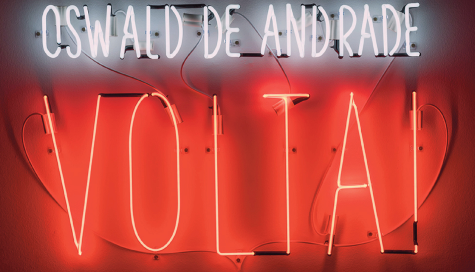 Image from the group show Nuestra América, at Galeria Luisa Strina, on which I wrote one of the essays for Artforum - the neon image reads, "Oswaldo de Andrade, Volta!" / "Oswaldo de Andrade, Come Back!"
